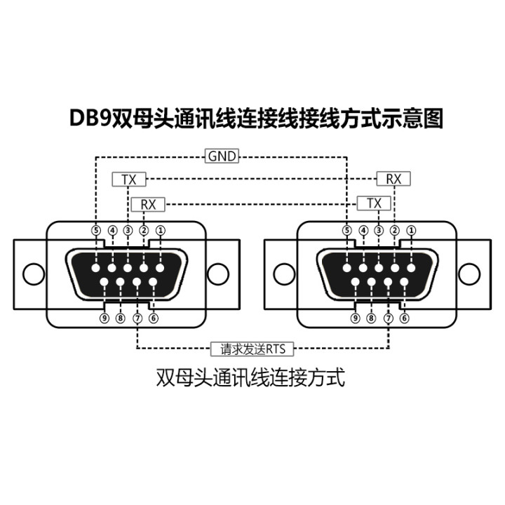 雙母頭.jpg